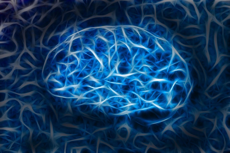 Tratamiento personalizado de neuromodulación tDCS para directivos. Optimización neurofisiológica y descanso con la Dra. Joana Cardozo.